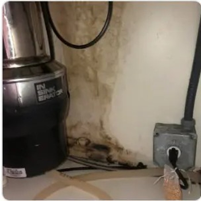 Garbage disposal installed under a kitchen sink